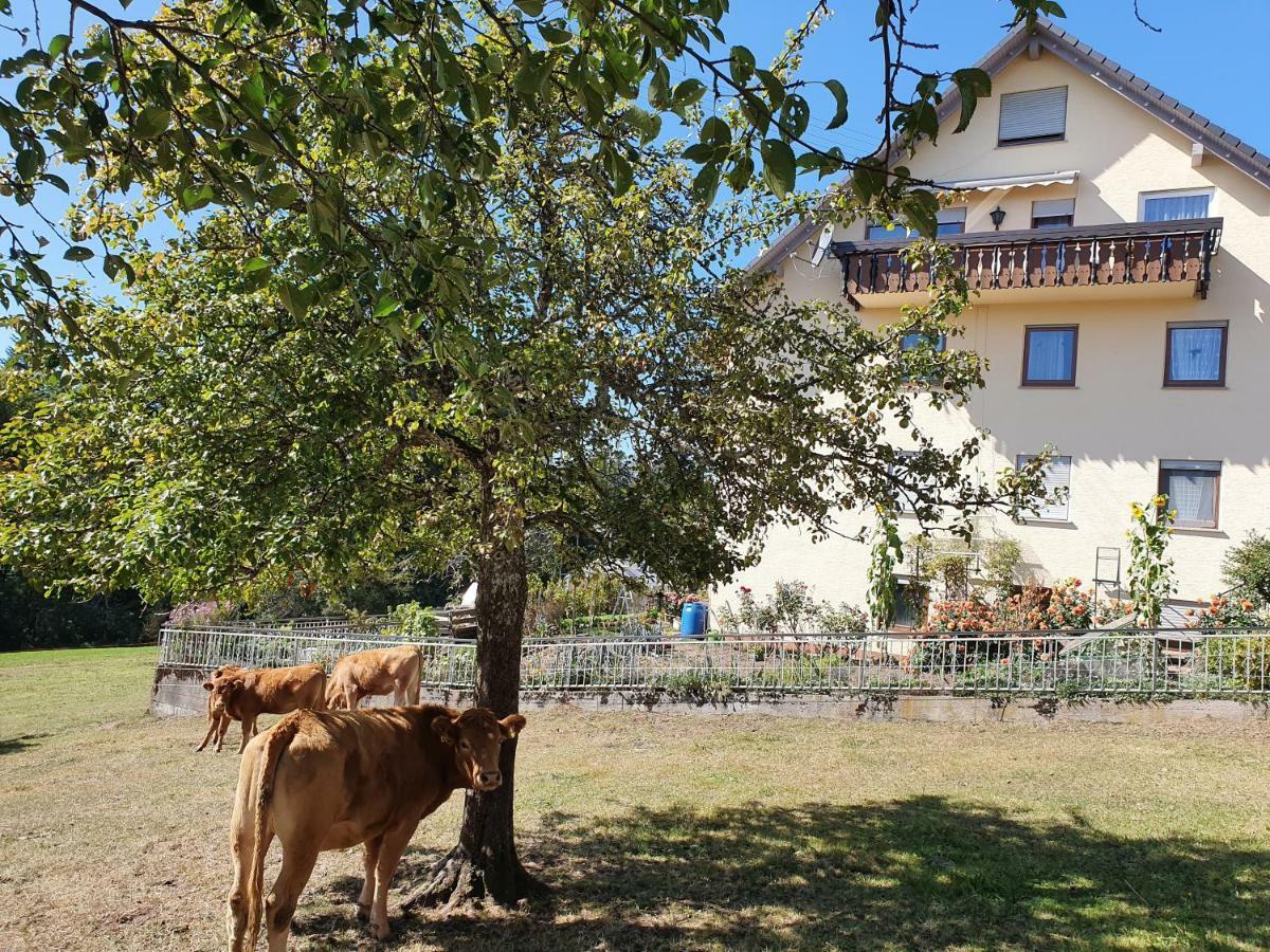 Chickenhill Blackforest, Grosse Ferienwohnung Im Schwarzwald Bad Wildbad Exterior foto